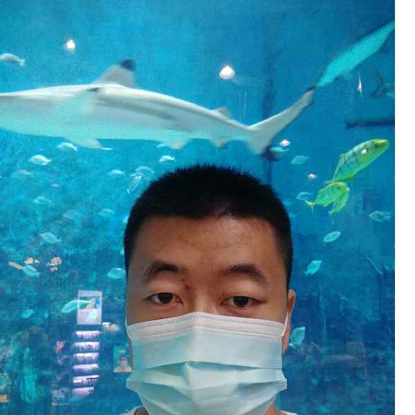 河北34岁单身帅哥真诚找对象-莆田征婚相亲网